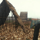 Image for article titled Surviving The Forest, The Hottest Game On Steam Right Now